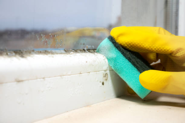 Best Mold Testing  in Mount Ora, OH